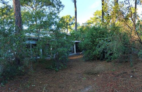 Le Canon Villa | Villa en lisière de forêt avec jardin, à 1,5 km de l'Océan, idéale pour des vacances reposantes - FR-1-736-16