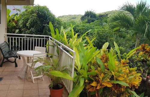 Le Gosier House | Villa en pleine nature située à 5min d'une plage