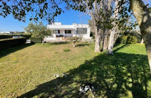 Leverano Villa | Villa Gioia
