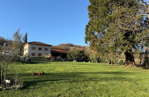 Cessieu Villa | Villa HARMONIE