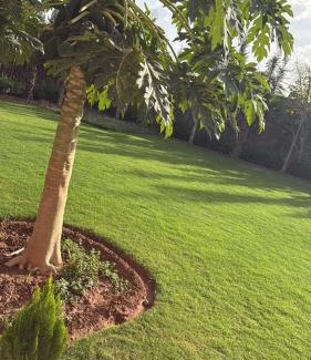 Arset El Bilk Villa | Villa haut standig 2000 m2