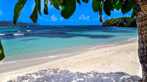 Las Galeras Villa | Villa Ibiscus