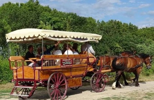 Vauvert Villa | Villa in the Camargue for 8 people