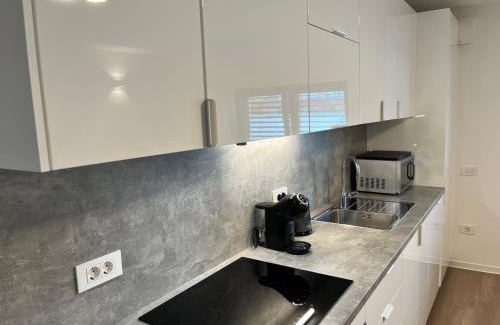 Ljubljana Apartment | Villa Kovačeva 15, app 1, free parking