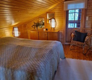 Pieksamaki Ski Chalet | Villa Kummunniemi