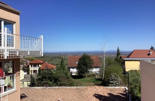 Weyher in der Pfalz House | Villa Kunterbunt