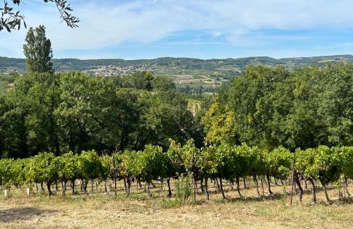 Mirabel-aux-Baronnies House | Villa la Montée