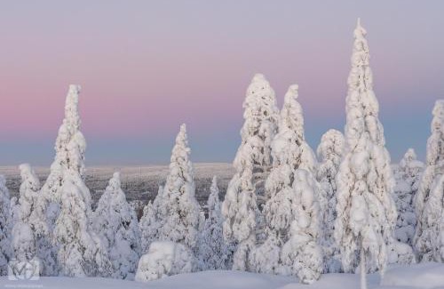 Rovaniemi Apartment | Villa Laakso