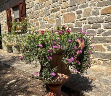 Cortona House | Villa Le Dodici Querce Cortona