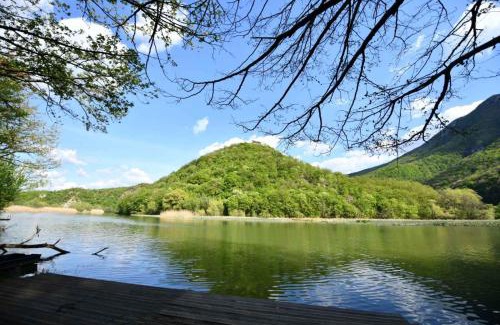 Central Serbia Cabin | Villa Luxury Medjuvrsje