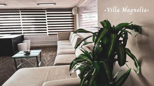 Tumba Vieja Apartment | Villa Magnolia