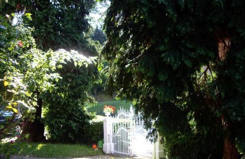 Badenweiler House | Villa Martha