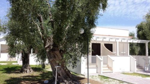 Chiesiola House | Villa Medina