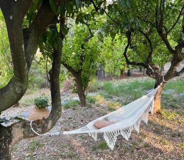 Vico del Gargano House | Villa Meridia