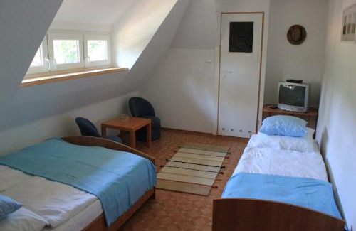 Wiselka House | Villa Miód Malina