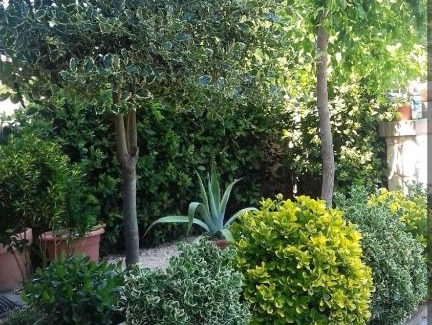 Francavilla al Mare House | Villa Muna