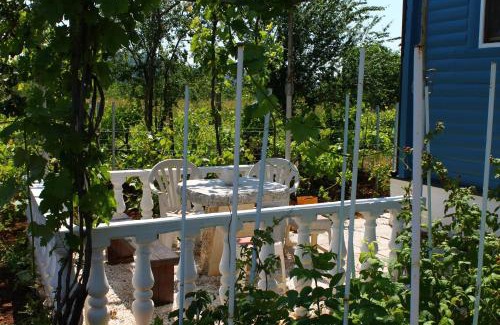 Gustirna House | Villa Nina & Mateja