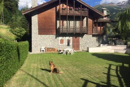 Bormio Apartment | Villa Paola