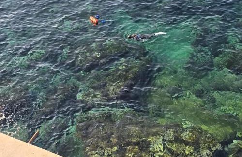 Gdyel Villa | Villa Pieds Dans L'Eau Sea View Oran - 14 people