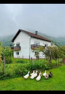 Jezero Villa | Villa Pliva Oasis