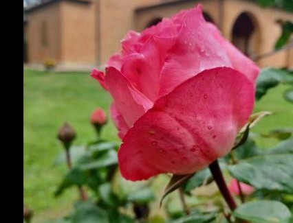 Sant'Albino Villa | Villa Poggio fagianino