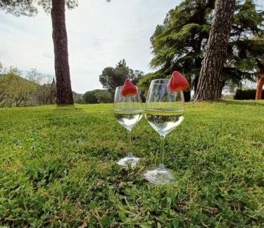 Sant'Albino Villa | Villa Poggio fagianino
