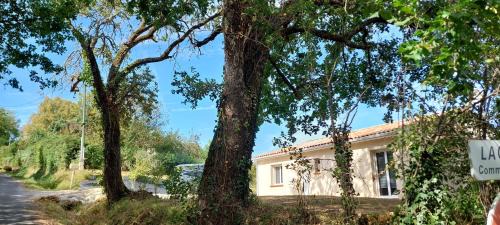 Puycelci Villa | Villa Puycelsienne