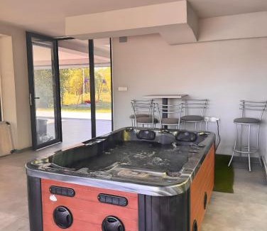 Novi Beograd Villa | Villa Sava Dream