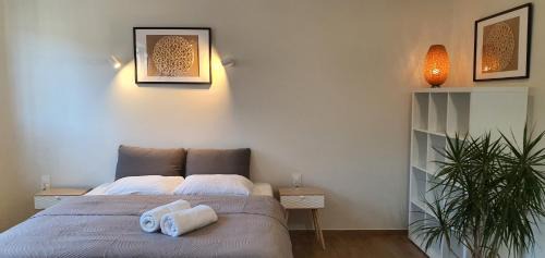 Kudowa Zdroj Apartment | Villa Sjesta komfortowe apartamenty, prywatny parking, gratis parking w centrum miasta