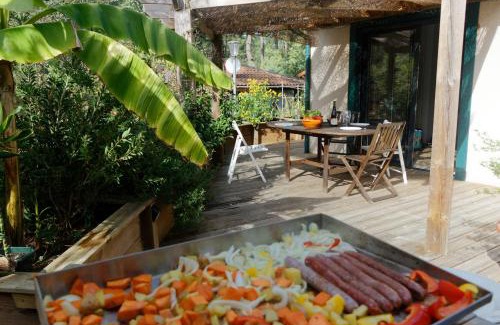 Moliets-et-Maa House | Villa sous les pins de Moliets