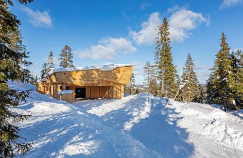 Syote House | Villa Tykkyrinne