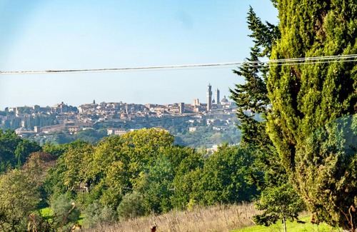 Siena Villa | Villa Vignano - Exotic Villa Among Olive Trees
