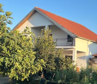 Shkoder Villa | Villa Vucaj