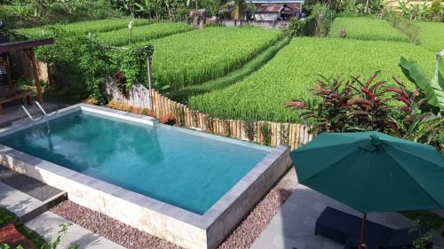 Banjartegehe House | Villa - Warung AromaChampuhan