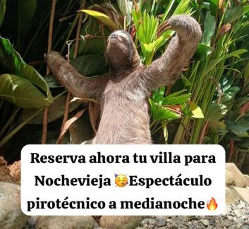Chiguata Hotel | Villas Itaita Playa Punta Uva
