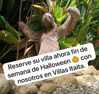 Chiguata Hotel | Villas Itaita Playa Punta Uva