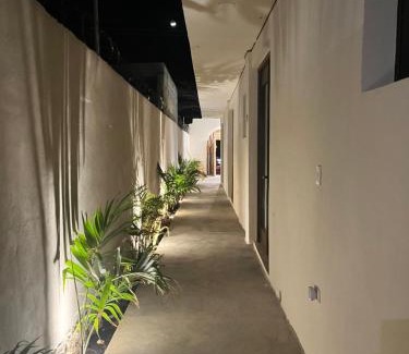 Celestun House | Villas Kaanab