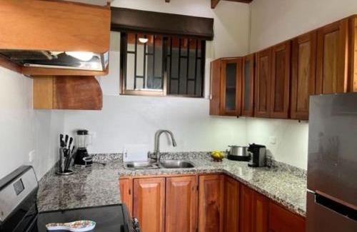 Ballena Villa | Villas Lambeau Ocean View 1