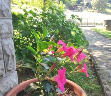 Burzanella House | Villetta con giardino