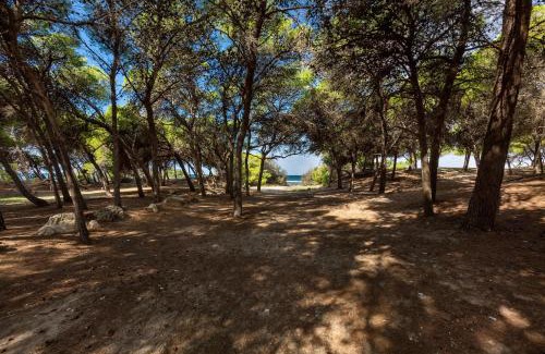 Rivabella Apartment | Villetta Lido La Pineta by BarbarHouse