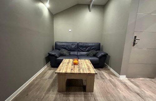 Perralliere Apartment | Villeurbanne FLACHET