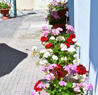 Marina di Pisa House | Villino La Perla Azzurra- Marina di Pisa
