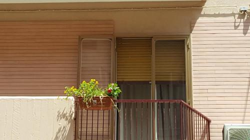 Mola di Bari Apartment | Vilmahouse