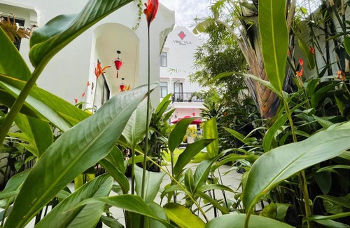 Cam Pho Hotel | Vinci Villa