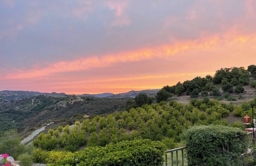 Temecula House | Vineyard Farmhouse with Private Pickleball in Temecula