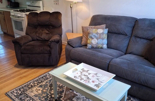 Rochester Apartment | Viola Suites Apt 2/2 BR, Pet Friendly, Economical, Lg Yard, Near Mayo!