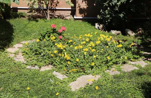 Squinzano Bed & Breakfast | Virò House