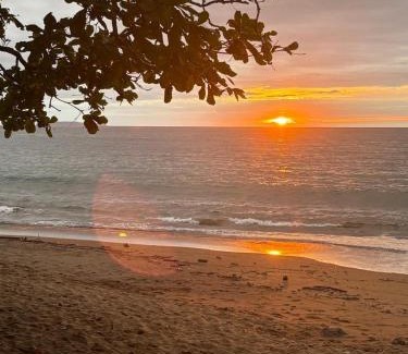 Drake Bay Hotel | Vista Alta Ecolodge Bahia Drake