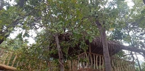 Habarana House | VISU VILLA hotel