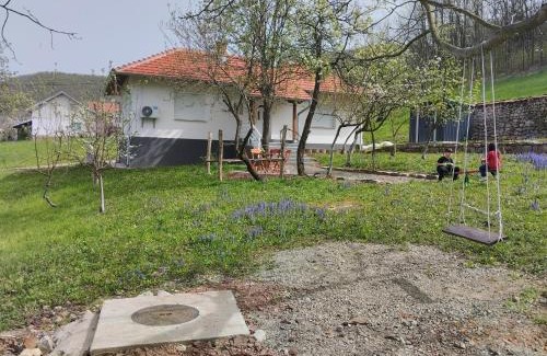 Central Serbia Villa | Vitovnicki Mir